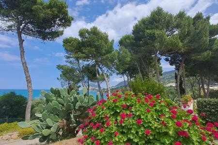 Cavallino Sea House Чефалу Екстер'єр фото